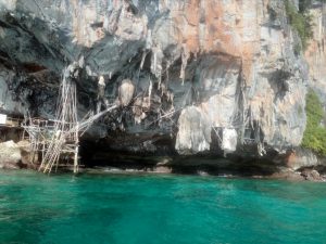 神秘的な島。私たちがピピ島をお勧めする理由。