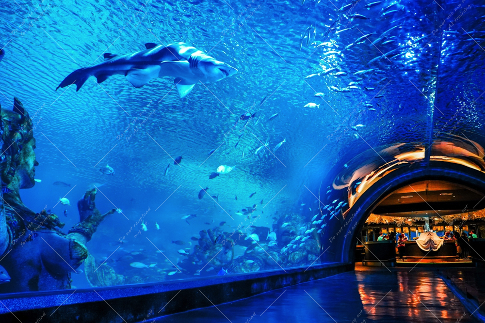 Aquaria Phuket